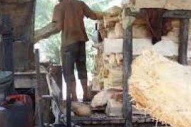 Bengkalis Tampilkan Mesin Pemurni Sagu Di Ritech Expo