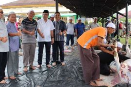 BUMN Hadir - PTPN V dan Karyawan Salurkan 317 Hewan Kurban