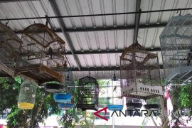 Komunitas pecinta burung tolak peraturan menteri