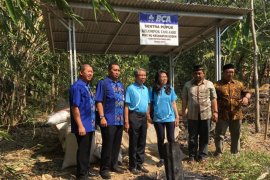 Petani Pemalang lirik budi daya tanaman jahe