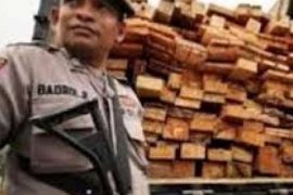 Jajaran Polres Amankan Truk Bawa Kayu Ilegal