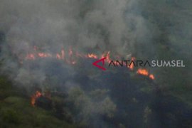 Kebakaran lahan di Musi Banyuasin telah dipadamkan