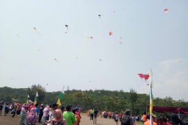 Batang dorong festival layang-layang menjadi agenda tahunan