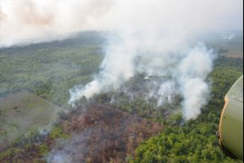 Karhutla di Melawi tewaskan bocah tujuh tahun