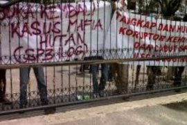 Pengadilan Tolak Praperadilan Tersangka Mafia Kehutanan Riau