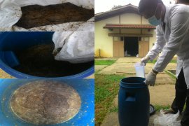 Mahasiswa IPB manfaatkan air kelapa sebagai probiotik alami ayam broiler