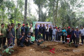 Distan Gianyar dan FP Unud tanam pisang di Desa Taro