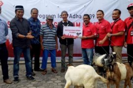 Telkomsel Serahkan 740 Ekor Hewan Kurban 