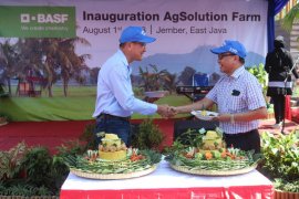 Unej Gandeng BASF Buka "Agro Solution Farm" di Jember