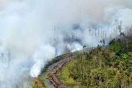 Wilayahnya Terjadi Karhutla, Bupati Rohil Pantau Langsung Melalui Udara