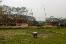 "Setengah kota - setengah desa" festival lima gunung