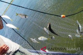 Daerah diminta anggarkan pembelian alat tangkap ikan