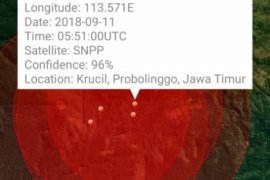 299 Titik Api Terpantau di Gunung Argopuro