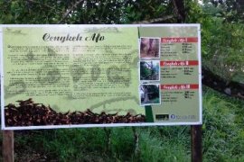 Cengkih Afo suguhkan suasana Ternate masa lampau