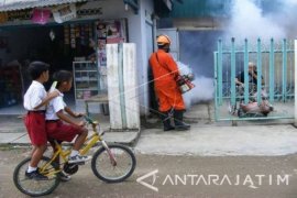 Dinkes Bojonegoro Waspadai Meningkatnya Penderita DBD