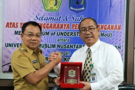 Pemkot Binjai tambah lahan tanaman padi organik