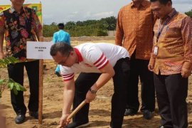 IPB kembangkan smart farming bibit buah tropis di Science-Techno Park Riau