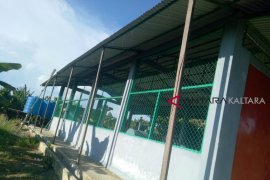 Pabrik kakao bantuan Kemdes-PDT di Sebatik mangkrak