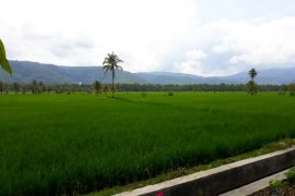 Petani Tapsel rasakan manfaat kehadiran Pemerintah