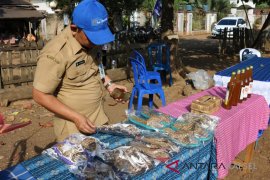 Desa Cabi Banjar jadi desa inovatif Kalsel