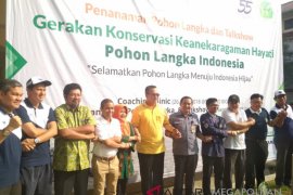 IPB inisiasi gerakan konservasi tanam pohon langka