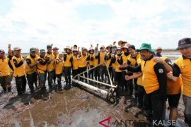 Gubernur coba alat tanam padi tabela