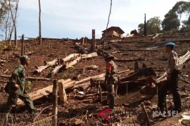 Kodim 1002 Barabai routinely patrol anticipate forest and land fires