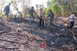 Kebakaran lahan di Kalsel capai 2.400 hektare