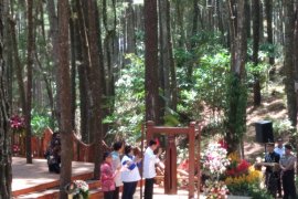 Jokowi biasa melihat hutan pinus di instagram