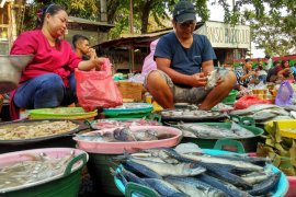 Harga Ikan Laut di Bojonegoro Stabil Tinggi