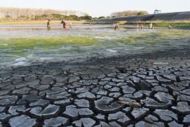 Mencari Ikan Di Waduk Kering
