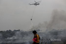 Kebakaran Lahan Di Banyuasin Page 4 Small