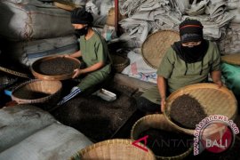 Pengembangan obat herbal akan gunakan bahan biosintetis