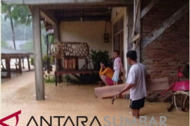 Bencana di sejumlah titik akibat hujan lebat guyur Sijunjung