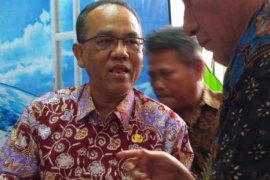 Gubsu kunjungi stan perpustakaan Labuhanbatu