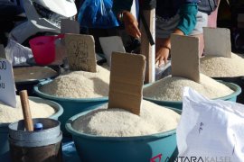 Kalsel tidak perlu mendatangkan beras impor