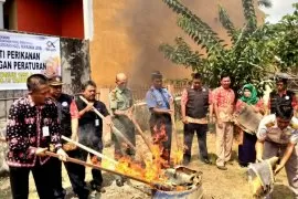 Petugas Damkar jinakjan biawak liar di rumah warga Cengkareng 