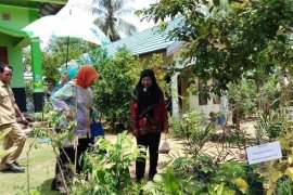 Tabalong nomine nasional tanaman obat desa terpencil