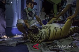 HARIMAU DAN JANINNYA TEWAS Page 1 Small