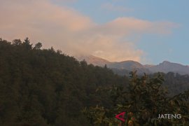 Balai Merbabu ragukan faktor alam penyebab kebakaran hutan Merbabu
