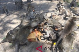 Pura Pulaki dan upacara untuk kera