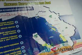 Perairan Pulau Pieh Padang Pariaman berpotensi dikembangkan jadi wisata pengamatan lumba-lumba