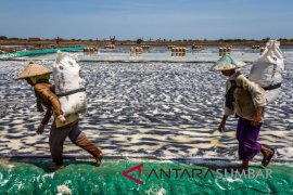 PRODUKSI GARAM NASIONAL MENINGKAT Page 1 Small