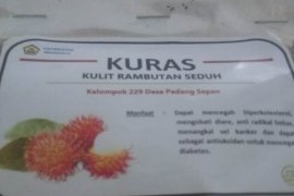 Mahasiswa Bengkulu olah kulit rambutan jadi teh