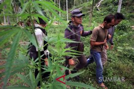 RINGKUS PEMILIK LADANG GANJA Page 1 Small