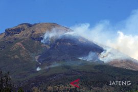 Kawasan hutan Gunung Sindoro terbakar