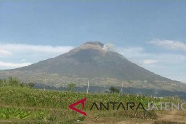 Angin kencang, kebakaran hutan Gunung Sindoro meluas