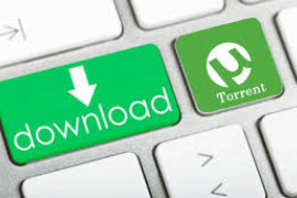 Situs Torrent Jadi Sarana Aksi Pelaku Kejahatan Siber