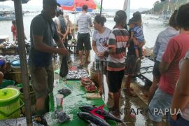 Harga ikan cakalang di Jayapura mencapai Rp170.000/ekor