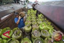 Harga eceran elpiji bersubsidi di Padang lampaui HET